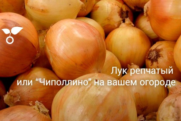 Кракен сайт 2krnk