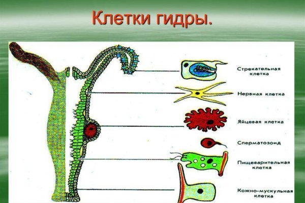 Кракен даркнет маркетплейс