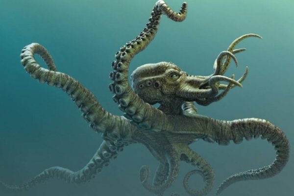 Kraken kraken dark link