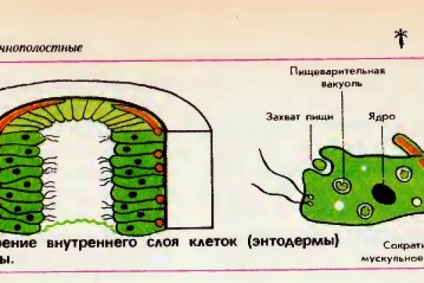Актуальная ссылка на кракен kraken