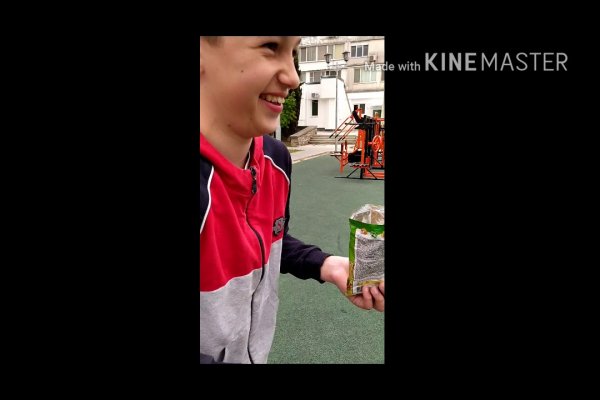 Что за приложение кракен
