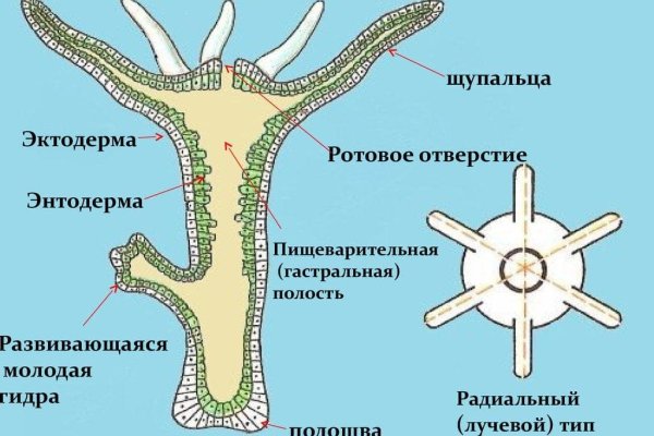 Кракен ссылка новая