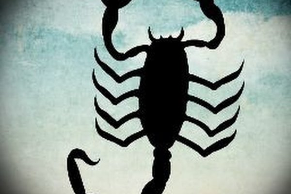 Можно вывести деньги с кракена