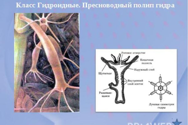 Kraken официальное зеркало kraken dark link