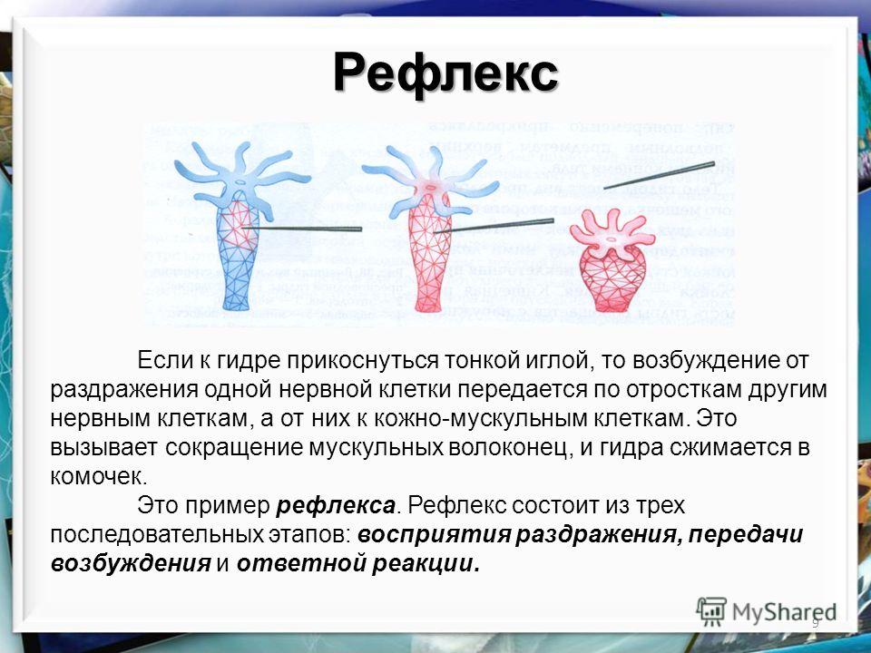 Кракен ссылка замена