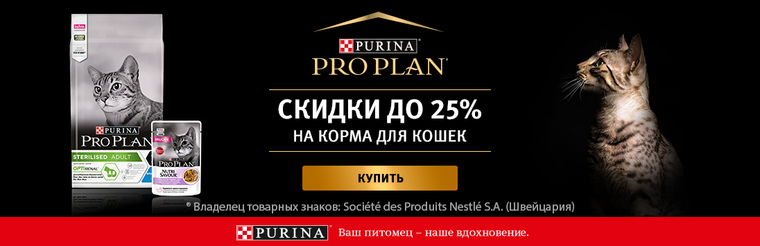Сайт кракен онион